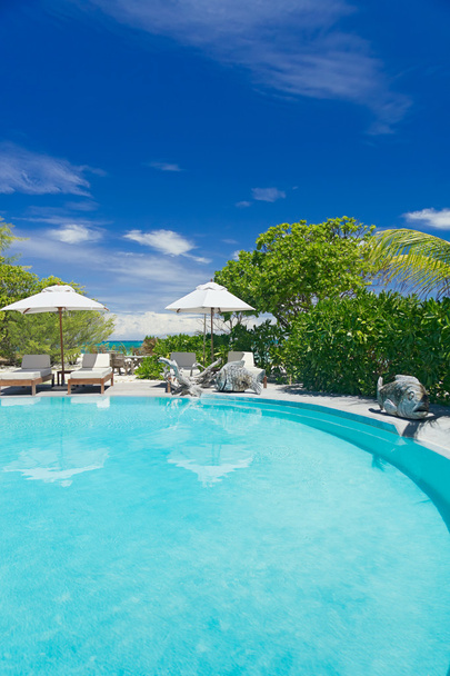 luxusní resort pool - Fotografie, Obrázek