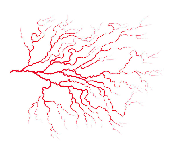veneuze bloed systeemontwerp vector symbool pictogram. Mooie illustrat - Vector, afbeelding