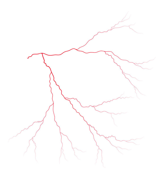 vein blood system vector symbol icon design. Beautiful illustrat - Vector, Image