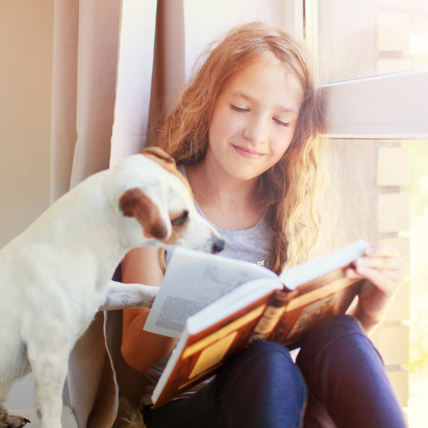 Girl reading book at home with dog - Foto, afbeelding