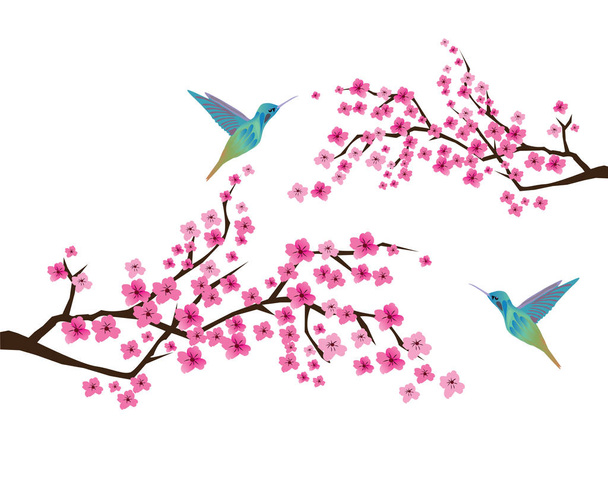 Flor de cerezo con colibríes
 - Vector, imagen
