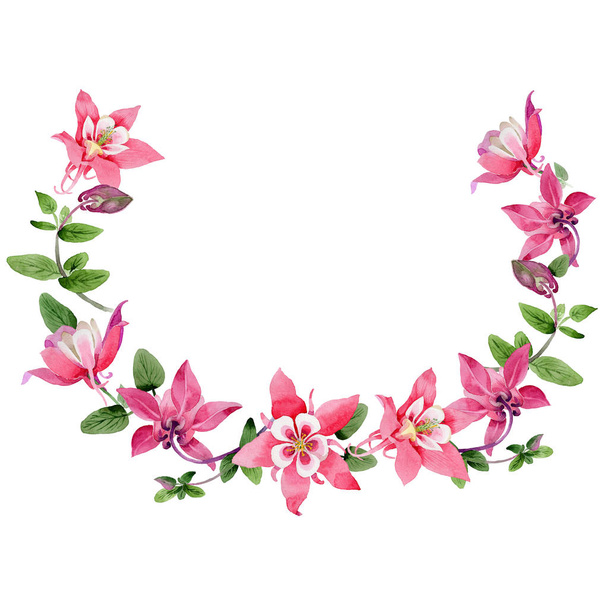 Wildflower aquilegia flower wreath in a watercolor style. - Photo, Image