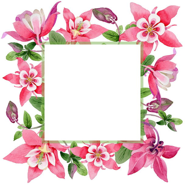 Wildflower aquilegia flower frame in a watercolor style. - Foto, afbeelding