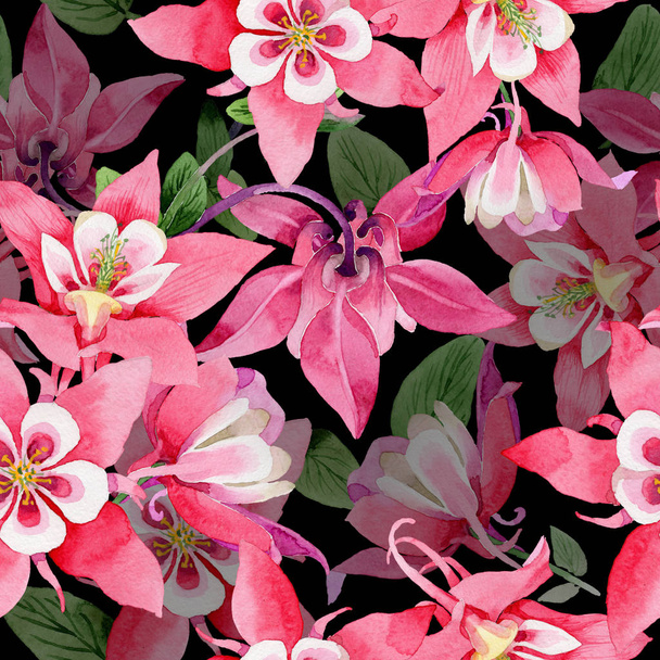 Wildflower aquilegia flower pattern in a watercolor style. - Φωτογραφία, εικόνα