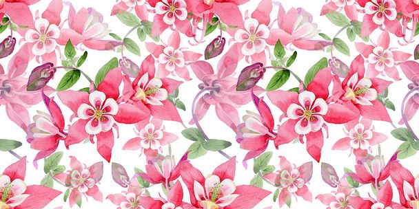 Wildflower aquilegia flower pattern in a watercolor style. - Фото, зображення