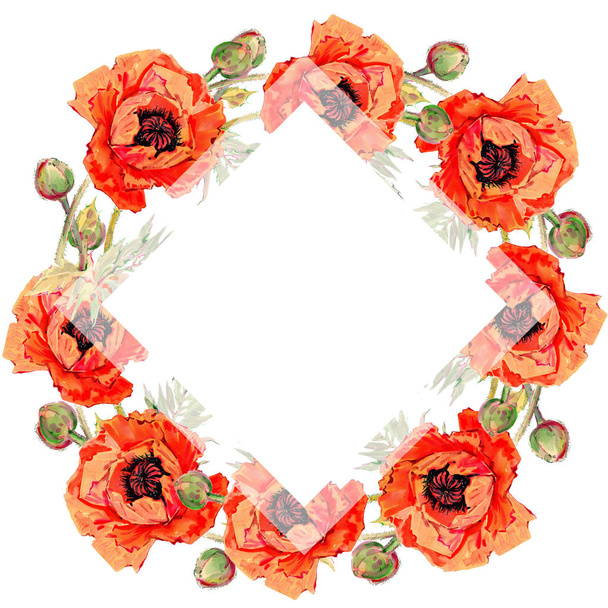 Wildflower poppy flower frame in a watercolor style. - Fotografie, Obrázek