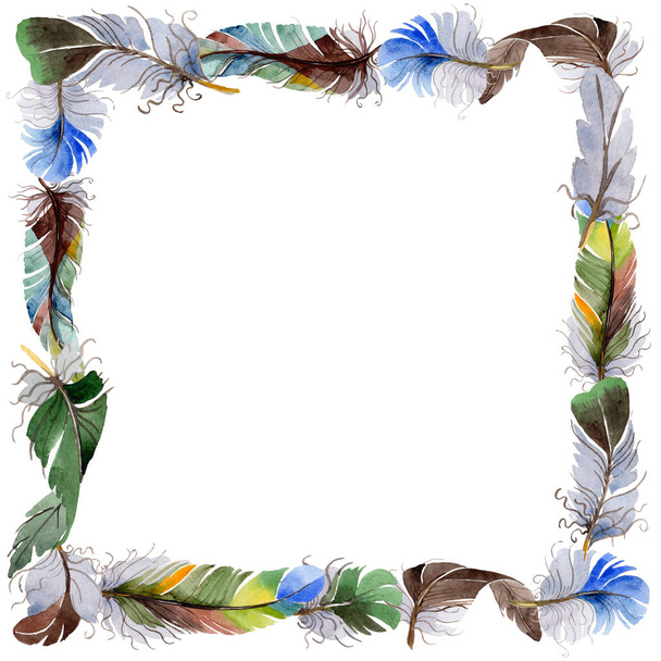 Watercolor bird feather frame from wing. - Foto, Imagem