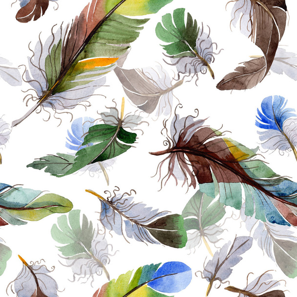 Watercolor bird feather pattern from wing. - Fotoğraf, Görsel