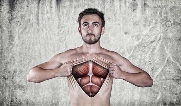 Ripped skin chest - Photo, Image