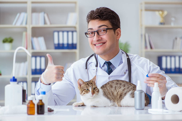 Cat επίσκεψη κτηνίατρο για τακτικές εξετάσεις - Φωτογραφία, εικόνα