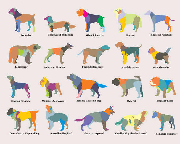 Vektori joukko värikkäitä mosaiikki koirien siluetteja
 - Vektori, kuva