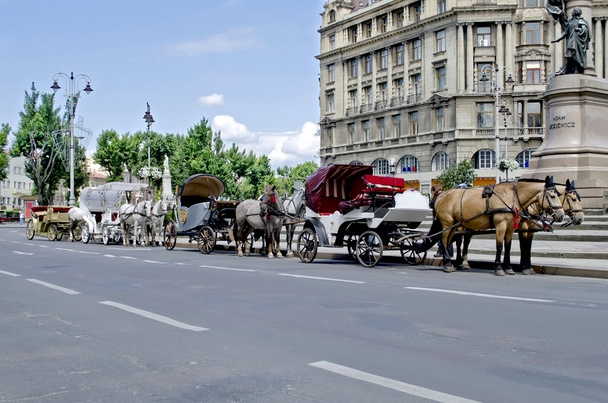 Carruagem puxada a cavalo em Lvov
 - Foto, Imagem