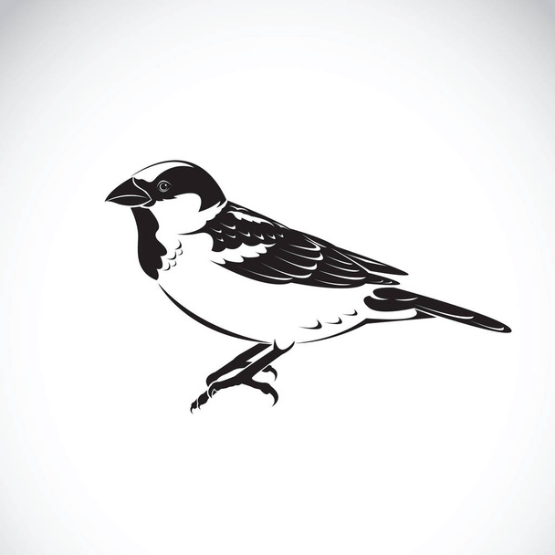 Vector of sparrow design on white background. Bird Icon - Vector, Image