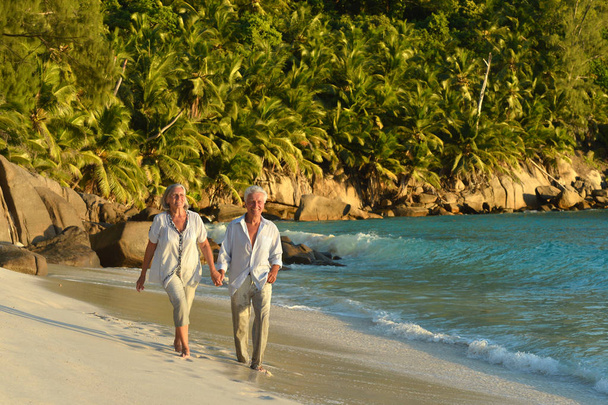 couple walking on  tropical beach - Photo, Image