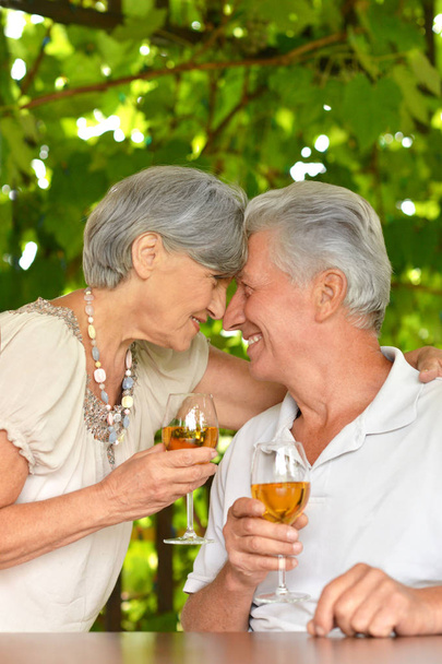 elderly couple drinking wine - Fotó, kép