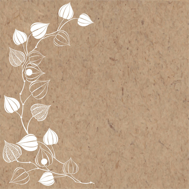 Floral background with physalis - Vector, imagen