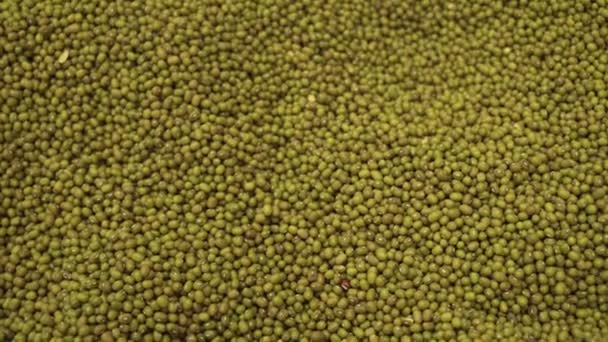 Lentil sold in supermarket stock footage video - Кадри, відео