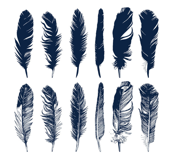 Hand drawn feathers set on white background - Vecteur, image