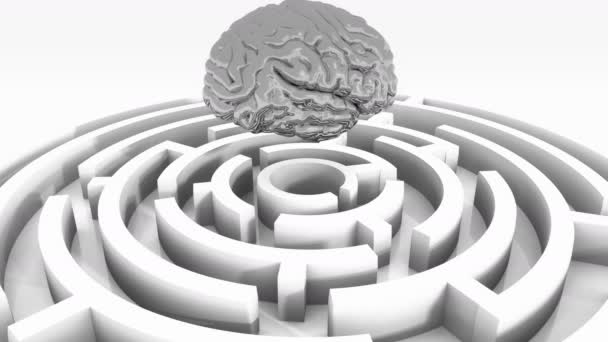 4k срібний мозок над лабіринтом, штучний інтелект
. - Кадри, відео