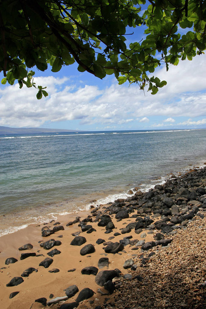 Lahaina beach, Maui  - Φωτογραφία, εικόνα