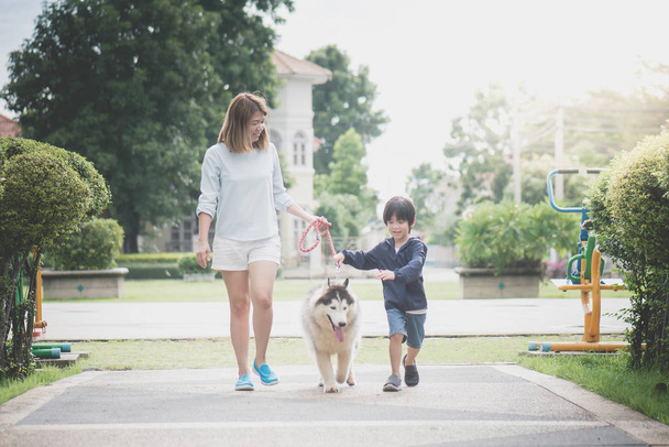 Asian mother and son walking with a siberian husky don in the park - Photo, Image