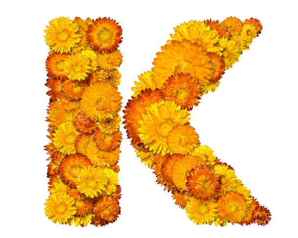 Alphabet from yellow and orange flowers - Foto, afbeelding