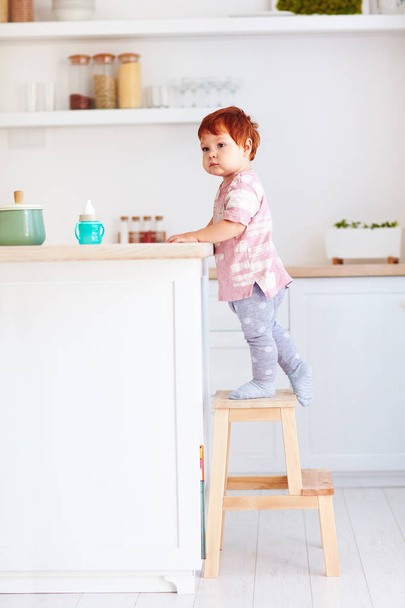 cute toddler baby climbs on step stool, trying to reach things on the high desk on the kitchen - Foto, immagini