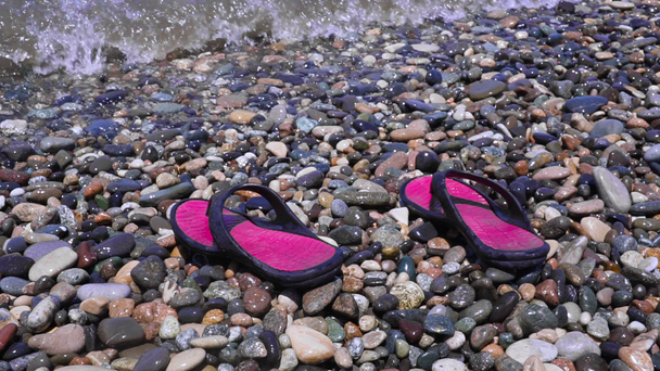 Slippers on the Pebble beach. - Footage, Video