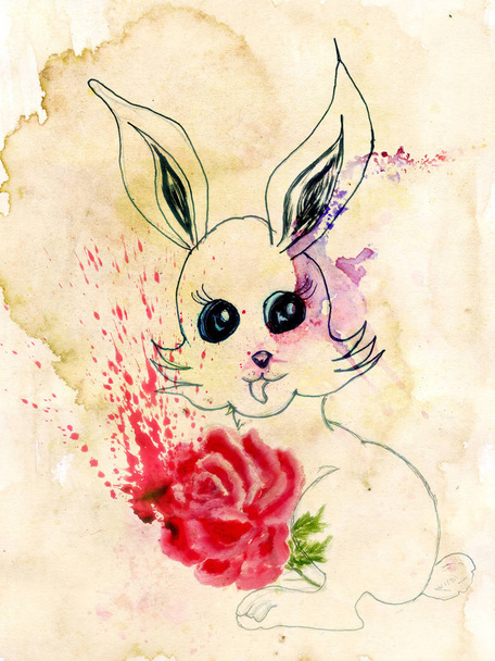 Lindo dibujo de conejo
 - Foto, Imagen