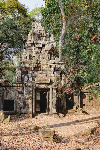 Таємничий gopura на тлі лісу, Камбоджа - Фото, зображення