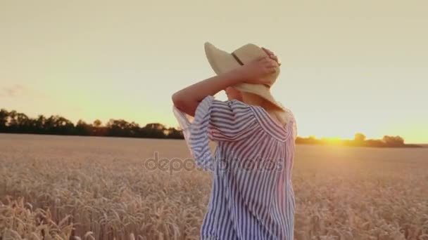 Cieszyć się świeżym powietrzem, spacer po polu pszenicy o zachodzie słońca... Steadicam strzał - Materiał filmowy, wideo