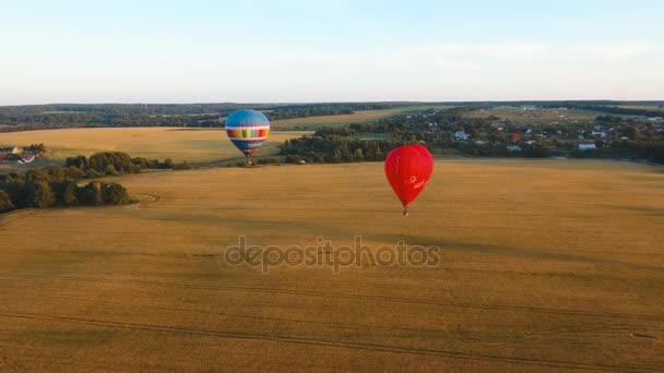 Heißluftballon am Himmel über einem Feld. - Filmmaterial, Video
