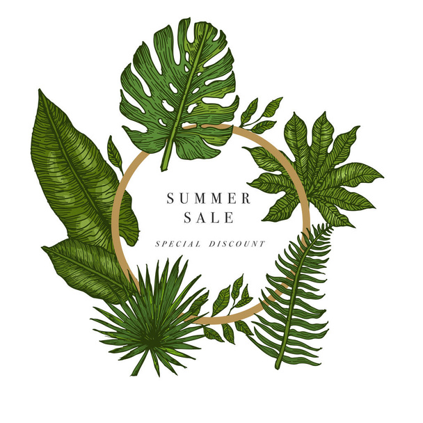 Sale banner, poster with palm leaves, jungle leaf and handwriting lettering. Floral tropical summer background. Vector illustration EPS10 - Vector, imagen