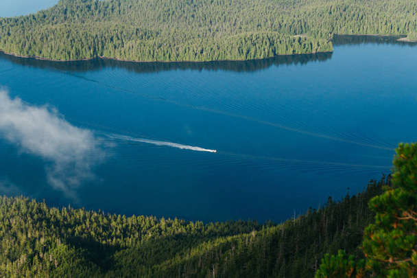 Lone vene purjehtii sinisellä vedellä kahden saaren metsä
 - Valokuva, kuva