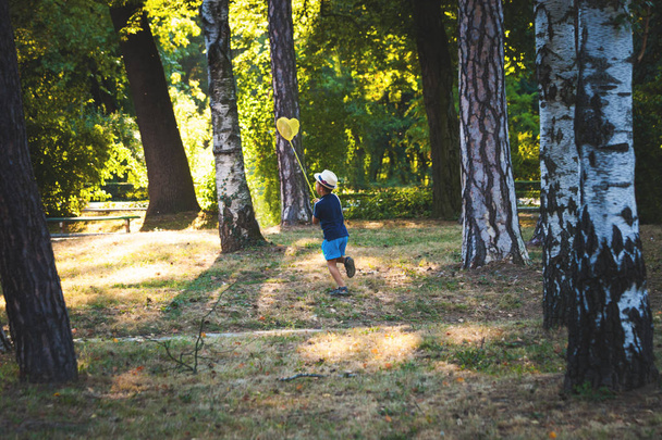 little boy with hat and butterfly net run in wood or park - Fotoğraf, Görsel