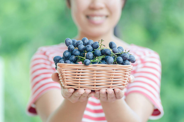 Vrouw met rode druiven in een mand, wijnoogst, gezond fruit - Foto, afbeelding