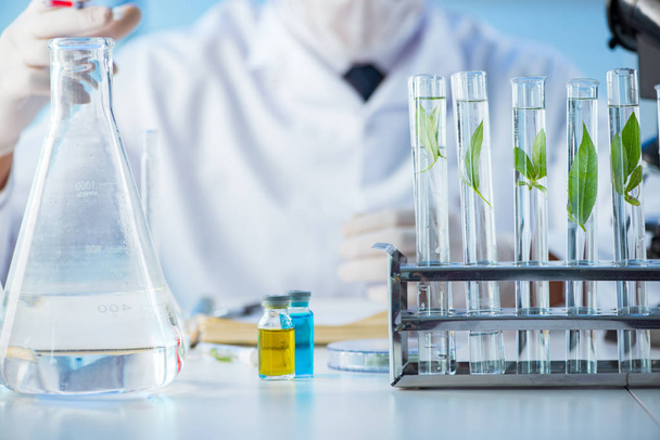 Biotechnology concept with scientist in lab - Zdjęcie, obraz