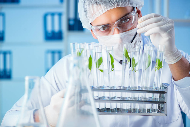 Biotechnology concept with scientist in lab - Foto, imagen