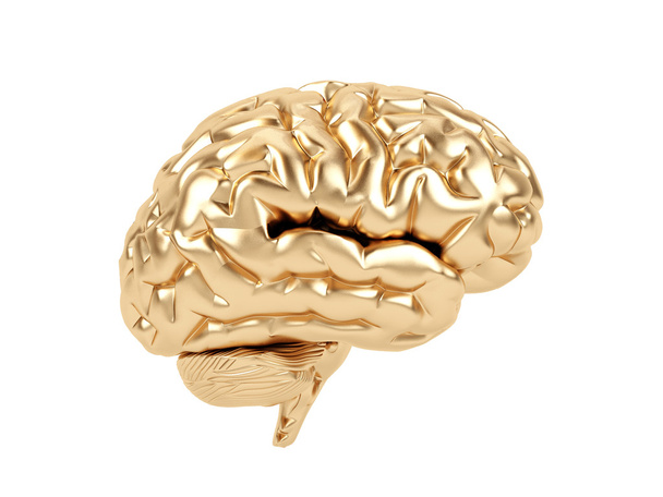 Cerebro dorado sobre fondo blanco
. - Foto, Imagen