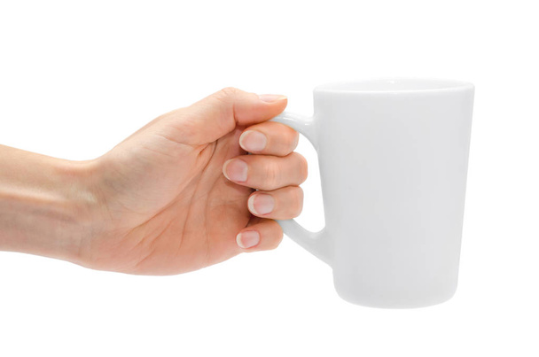 woman hand holding white cup. - Photo, image