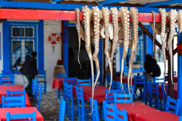 Comida griega tradicional El pulpo se seca al sol en el pueblo
  - Foto, imagen