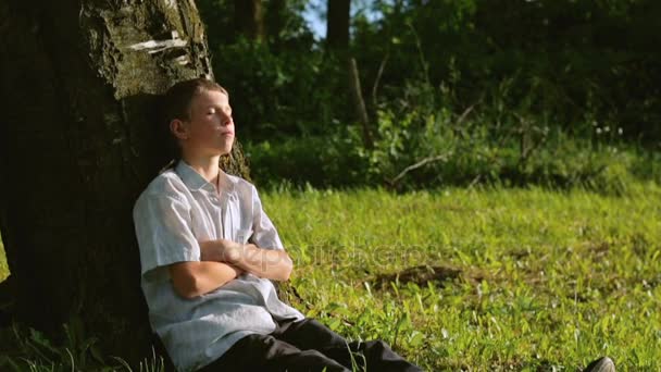 Το αγόρι ακουμπά σε ένα πράσινο γρασίδι κάτω από το δέντρο της ένα καλοκαιρινό βράδυ - Πλάνα, βίντεο