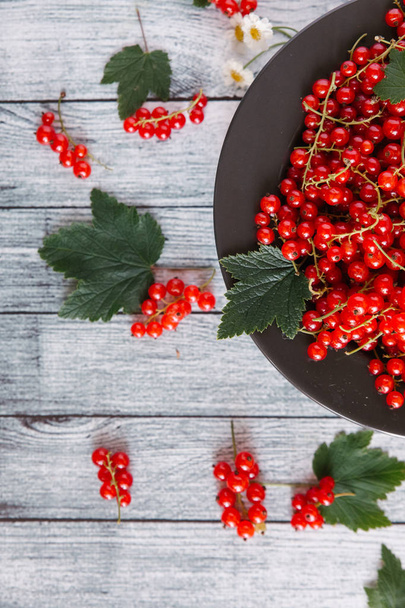 ripe redcurrant with chamomile flowers - 写真・画像