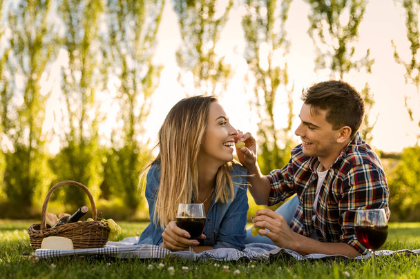 happy couple making a picnic - Fotografie, Obrázek