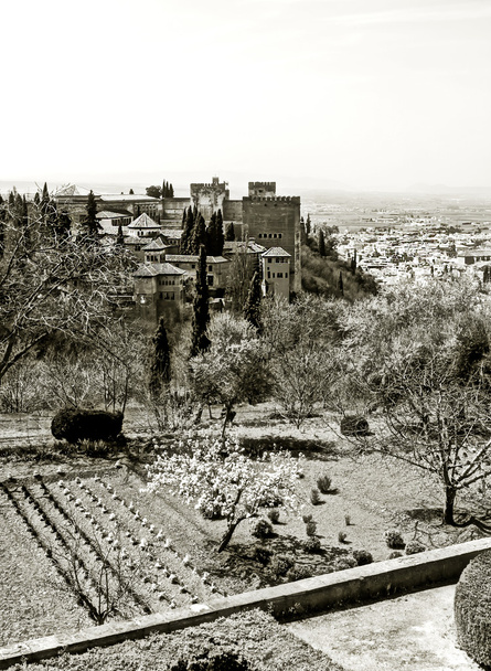Pomnik Nasrid Alhambra - Zdjęcie, obraz