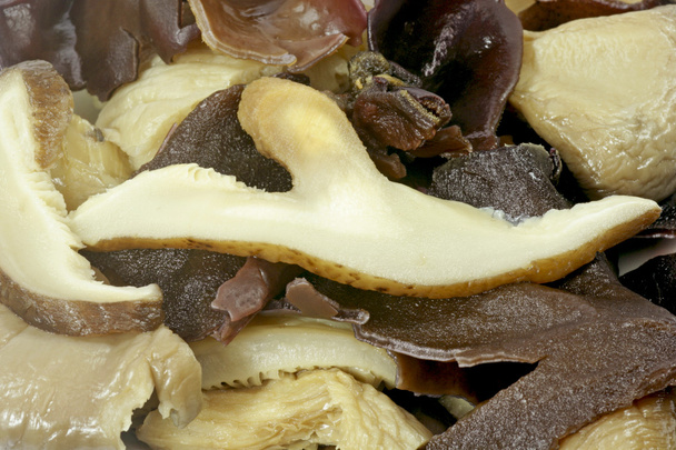 Азіатський гриби
 - Фото, зображення