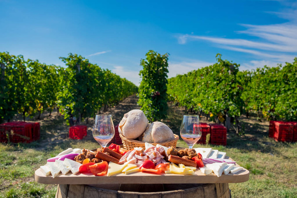 Placa de comida tradicional con vino y viñedos en el fondo
 - Foto, imagen