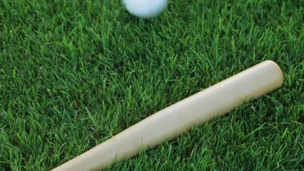 Baseball bat and ball on the grass. Baseball, sport, bat. - Footage, Video