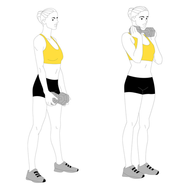 The girl is doing sports exercises with dumbbells isolated on white background. Vector illustration. - Vector, Image
