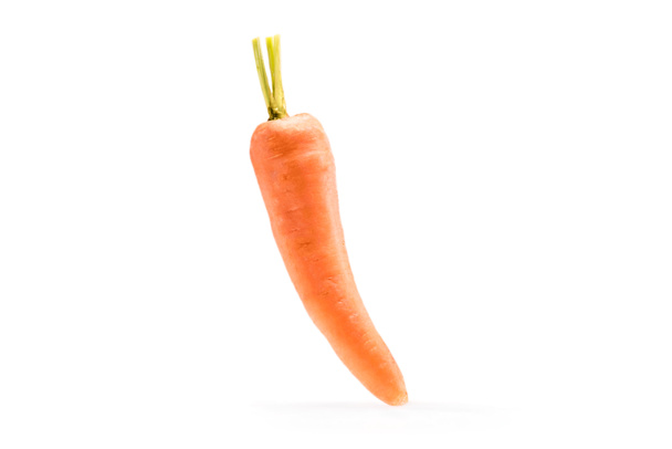 zanahoria sana madura fresca sola
 - Foto, Imagen